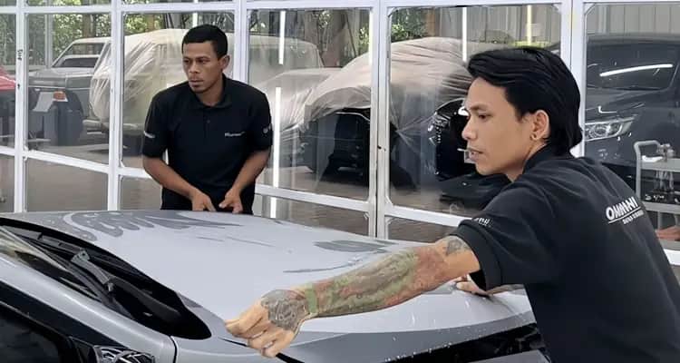 Paint Protection
